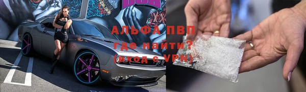 индика Верея